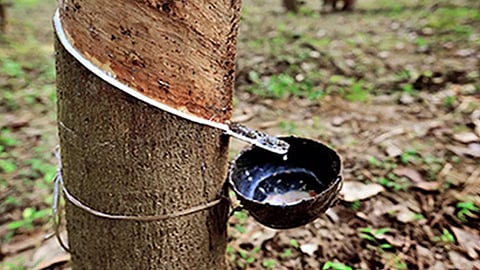 Rubber