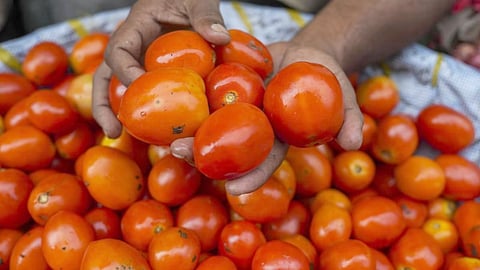 vegetables price increase in kerala
