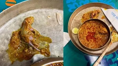 മുംബൈയിൽ ചിക്കൻ വിഭവത്തിൽ എലിയെ കണ്ടെത്തിയതിനെ തുടർന്ന് എഫ്ഡിഎ വിഭാഗം നഗരത്തിലെ ഹോട്ടലുകളിൽ പരിശോധന ആരംഭിച്ചു