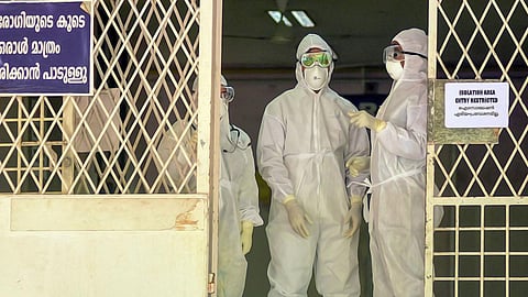 palakkad nipah contact list 9 sample negative