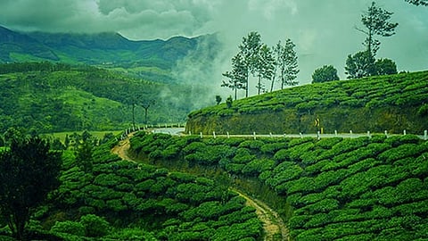 കാന്തല്ലൂരിന് ബെസ്റ്റ് ടൂറിസം വില്ലേജ് അവാർഡ്; അഭിമാന നേട്ടവുമായി കേരളം