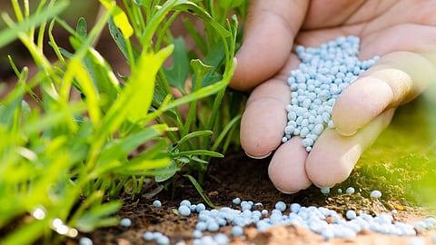 Chemical fertilizer