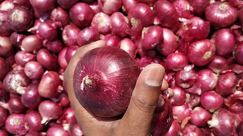 Onion mix