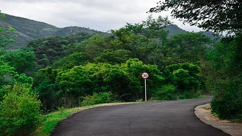 മലക്കപ്പാറ റോഡ്