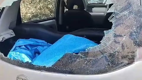 wayanad elephant attack 2 people injured