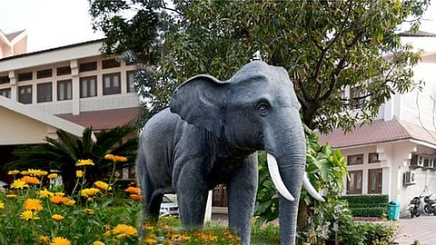 Representative image