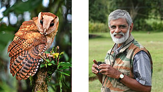 റിപ്ലി മൂങ്ങ, ആർ. സുഗതൻ