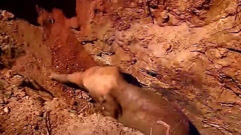 Video Screenshot
