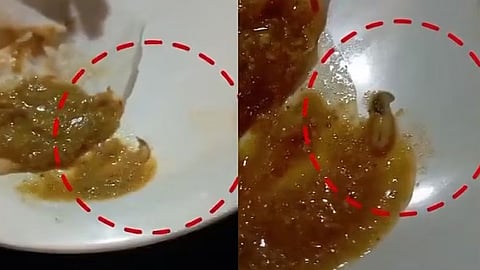 worm in hotel food at kalamassery