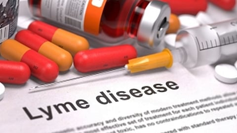 Lyme disease reported in Kerala Ernakulam