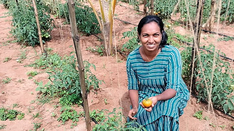 ഐടി പ്രൊഫഷനിൽനിന്ന് കൃഷി എന്ന പാഷനിലേക്ക്