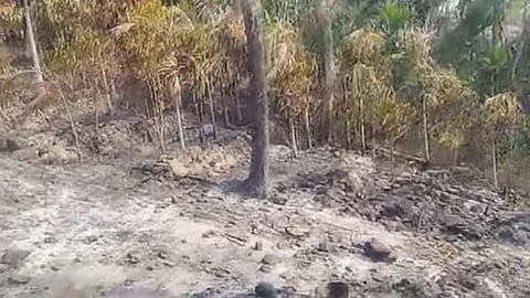 മാമലക്കണ്ടത്ത് തീപിടുത്തം; 20 ഏക്കർ കൃഷിഭൂമിയിലെ വിളകൾ കത്തിനശിച്ചു
