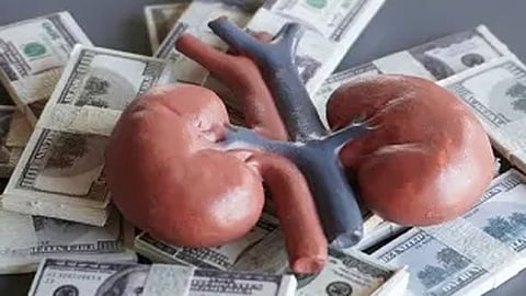Kochi hospitals face probe over organ trade