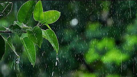 kerala rain alert 8 districts yellow alert today