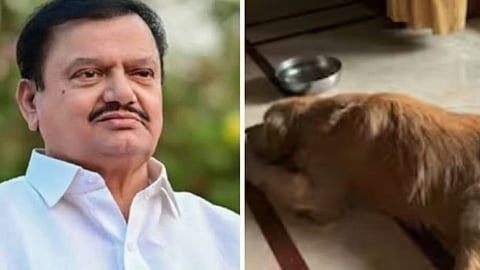 കോൺഗ്രസ് എംഎൽഎ പി.എൻ. പാട്ടീൽ അന്തരിച്ചതിനു പിന്നാലെ വളർത്തു നായയും ചത്തു