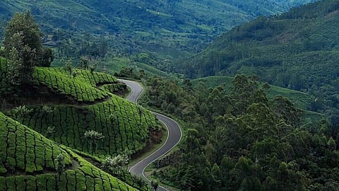 Kerala tourism