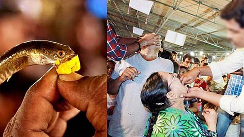 ആസ്മ ഭേദമാക്കാൻ 'മത്സ്യപ്രസാദം'; ഹൈദരാബാദിലെ 'മീൻ വിഴുങ്ങാൻ' ആയിരങ്ങൾ