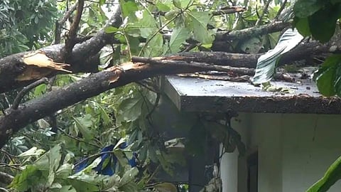 wind accompanied by rain caused heavy damage in various areas of kothamagalam