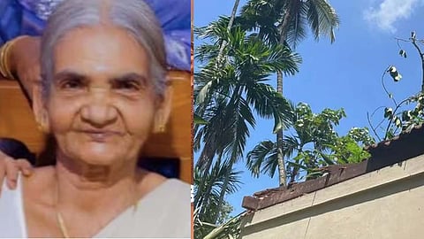 ചിരുതക്കുട്ടി