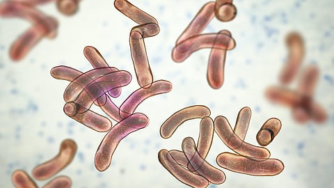 cholera case again in thiruvananthapuram