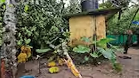 again cyclone in thrissur