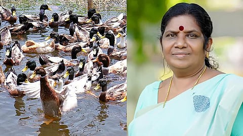 ആലപ്പുഴയിൽ താറാവ് അടക്കമുള്ള പക്ഷി വളർത്തലിന് നിരോധനം ഏർപ്പെടുത്തും; മന്ത്രി ജെ ചിഞ്ചുറാണി