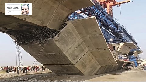 bridges special story