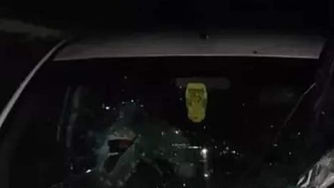 wild elephant attack at munnar
