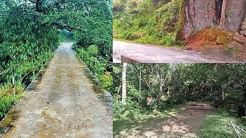 മഹാപ്രളയത്തിന് 100 വയസ്; സ്മാരകമായി പഴയ ആലുവ മൂന്നാർ റോഡ്, പഴയ രാജപാത പുനസ്ഥാപനം സാധ്യമോ??