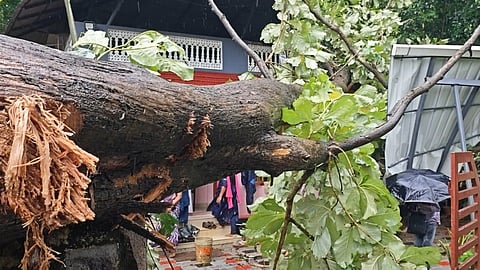 ശക്തമായ കാറ്റിലും മഴയിലും വേട്ടമ്പാറയിൽ വീടിന്റെ മുകളിലേക്ക് മരം വീണു