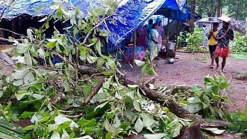 tree fell in the wind and damaged six houses in pantapra tribal colony