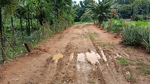 വെളിയേൽചാൽ - ഓവുങ്കൽ റോഡ് നവീകരണത്തിന് 20 ലക്ഷം രൂപ അനുവദിച്ചു : ആന്റണി ജോൺ എംഎൽഎ