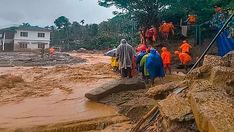 wayanad landslide death rate updates