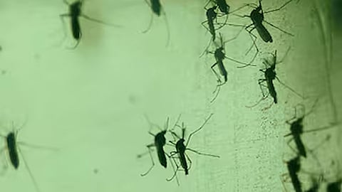 Fine imposed under Kerala Public Health Act