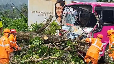 tree fell on top of a private bus in adimali