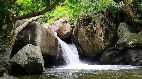 പാലക്കാട് സീതാർകുണ്ട് വെള്ളച്ചാട്ടത്തിൽ കുടുങ്ങിയവരെ രക്ഷപ്പെടുത്തി