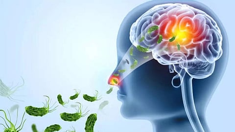 Amoebic encephalitis in kollam