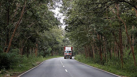 wayanad landslide bandipur national park night traffic ban