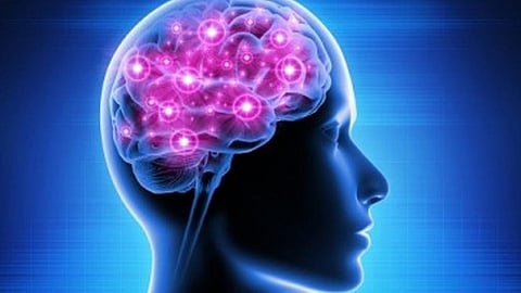 amoebic encephalitis positive in kochi