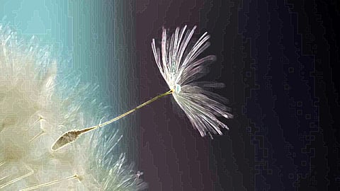 Malayalam poetry