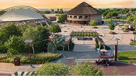 Winter is here: Dubai Safari Park opens