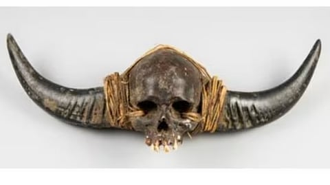 naga skull