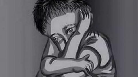 woman kidnaps tenant s son in uttar pradesh