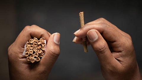 students-ask-matches-burn-ganja-beedi-excise-office