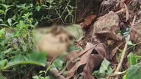 A skull and skeleton were found at Vizhinjam; Doubt that it belongs to a local resident