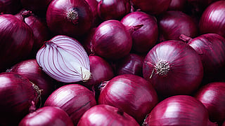 onion farming