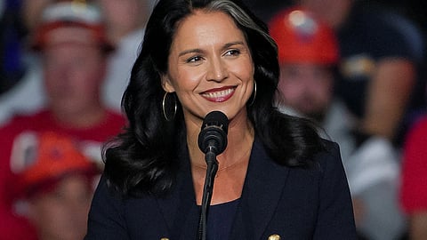 tulsi gabbard us national intelligence director