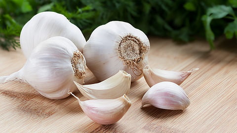 Garlic price hike , crosses 400 rupees per kilogram