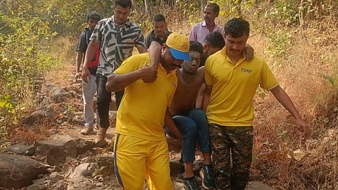 10 injured in honey bee attack