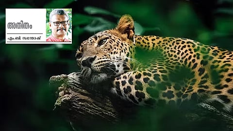 wildlife and forest protection read atheetham special story